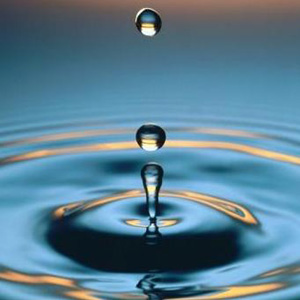 Máster en Tecnología y Gestión del Agua – Dual City (Barcelona/ Madrid)