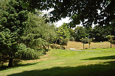 Solicitan recursos para conservar zonas forestales