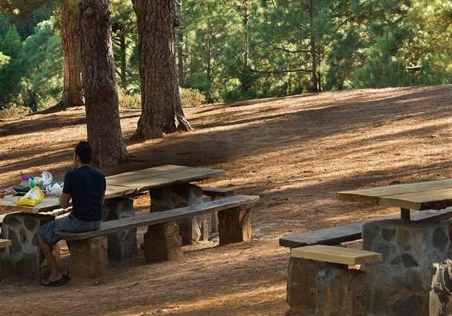 El Cabildo de Tenerife prohíbe hacer fuego y hogueras en los montes y zonas forestales debido a las altas temperaturas