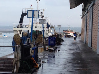 Estrategia andaluza para la Eficiencia Ambiental de Actividades Pesqueras