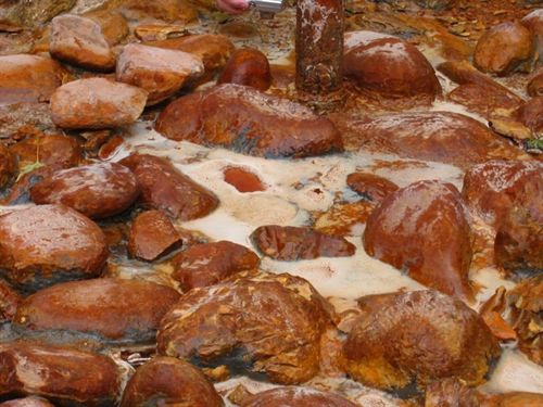 Bacterias ya respiraban oxígeno hace 2.480 millones de años