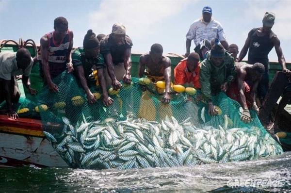 La avaricia rompe el saco
