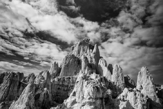 Naturaleza en Blanco y Negro expone la visión de siete fotógrafos