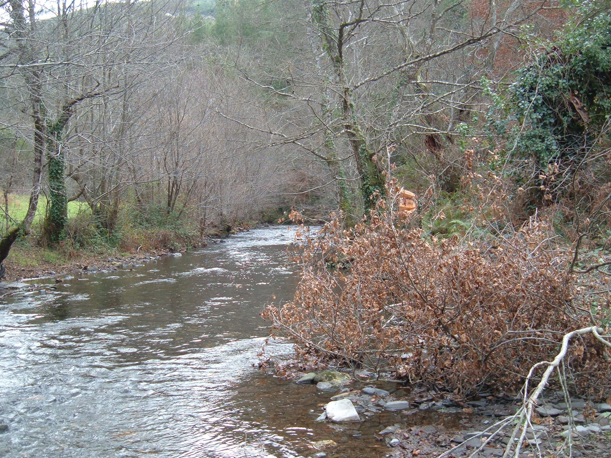 No al salto del rio Bustelin y afluentes (Asturias)