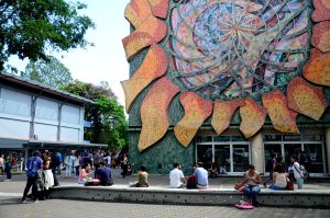 Costa Rica. Darán a conocer reaparición de rana que creían extinta hace 30 años