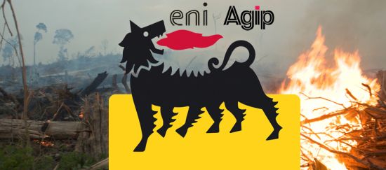 Italia devasta la selva para fabricar combustible