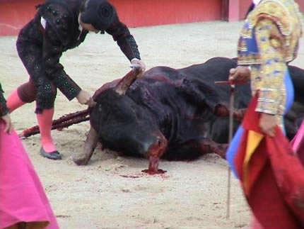 Los toros ‘a la baja’ en Andalucía