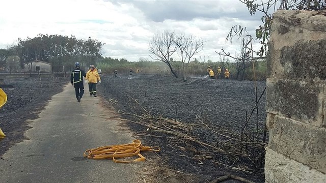 Extinguido el incendio de nivel 0 en SAlbufera