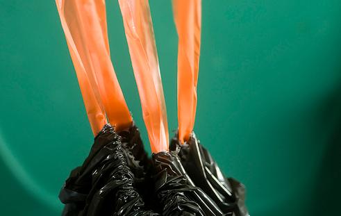 La Diputación Foral de Álava destinará 100.000 euros a actividades de sensibilización ambiental en 2010