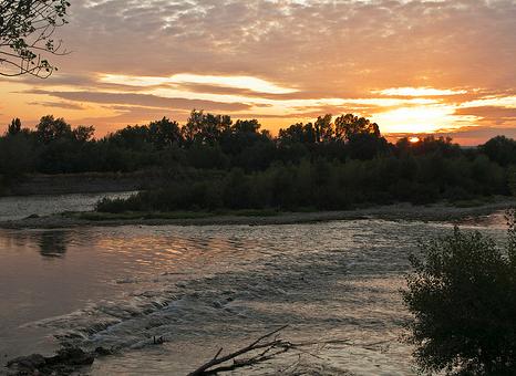 Experto israelí defiende trasvase del Ebro y cree un "desperdicio dejar que el agua llegue al mar para desalarla"