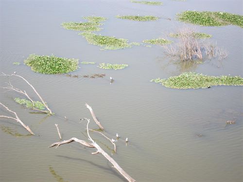 Incluye 53 Humedales de Asturias en el Inventario Español de Zonas Húmedas