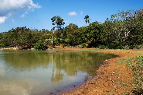 SEO/BirdLife conmemora el Día Mundial de los Humedales con una veintena de actividades en varias CC.AA.