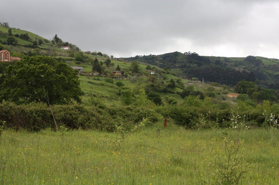 Asturias. Abandono permiso fracking Granda