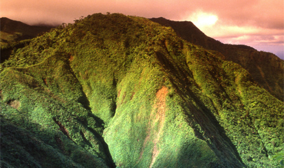 Espacios Naturales y Gestión de la Fauna