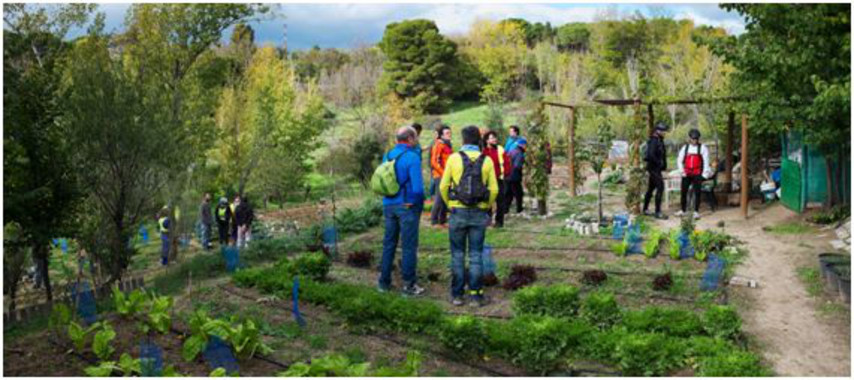 Cultivos urbanos como laboratorio para estudiar el efecto de los metales sobre la salud