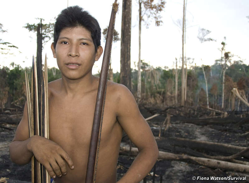 Los indígenas no contactados de la Amazonia se enfrentan a la aniquilación