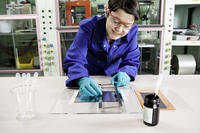 El coche del futuro sin malos humos