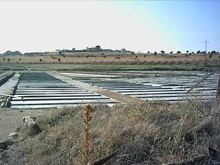 La CHE finaliza la recuperación ambiental de la microrreserva salina de Medinaceli (Soria)
