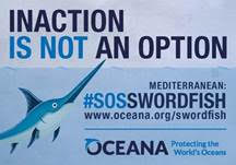 Llamada a la responsabilidad con la pesca del pez espada del Mediterráneo
