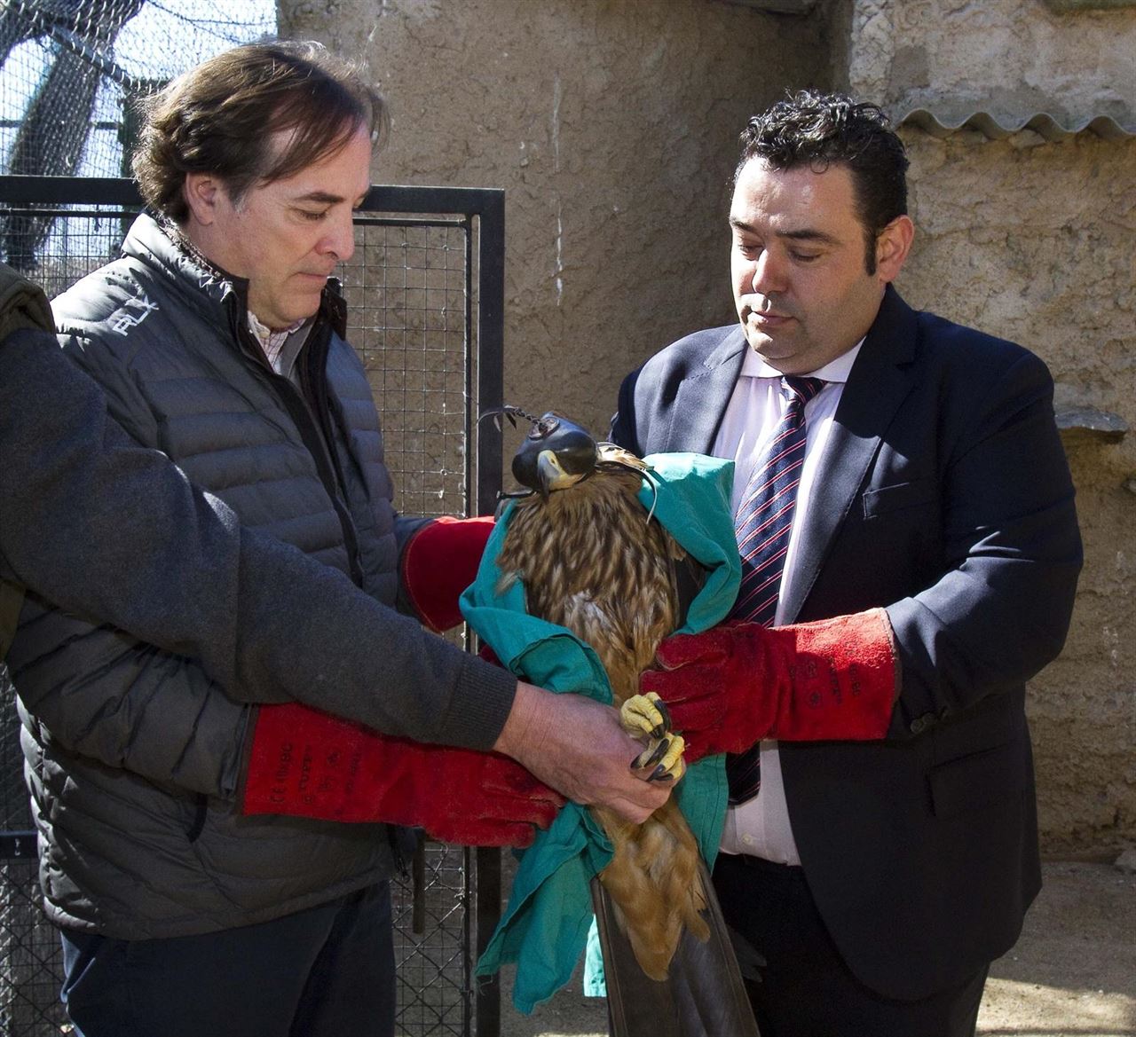 Comunidad de Madrid hace entrega de un ejemplar de águila imperial al centro de fauna de Navas del Rey
