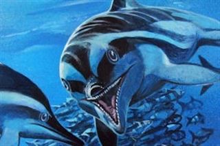 Descubre al ‘ictiosaurio’ que vivió hace 180 millones de años