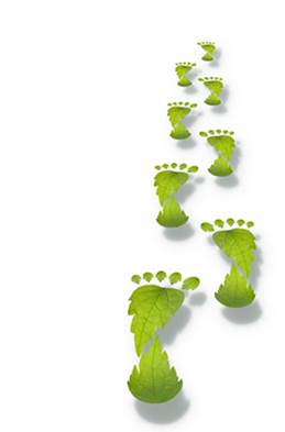 Aprende algo tan importante como es el Cálculo de Huella de Carbono