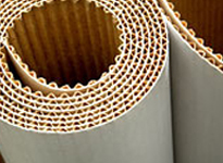 Papel y Cartón para embalajes