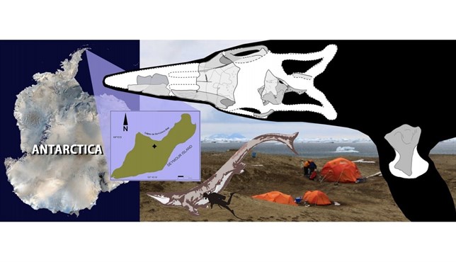 Te explicamos cómo era el ‘kaikaifilu’