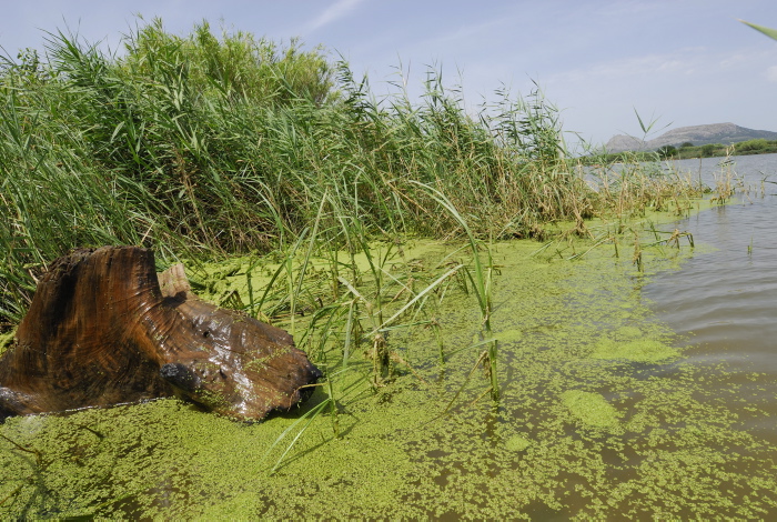 Sesión de debate en Girona sobre la Estrategia catalana de adaptación al cambio climático