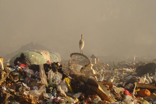 Expertos europeos en medio ambiente debaten en Cáceres soluciones a los vertederos clausurados
