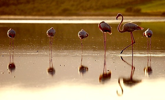 Marismas del Odiel acoge a escolares con talleres de educación ambiental