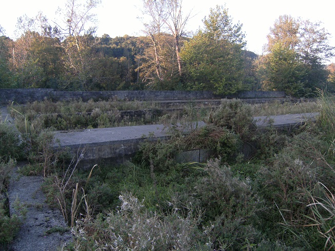 Asturias. Las muchas dudas que supone la cria de esturiones en el rio Piloña