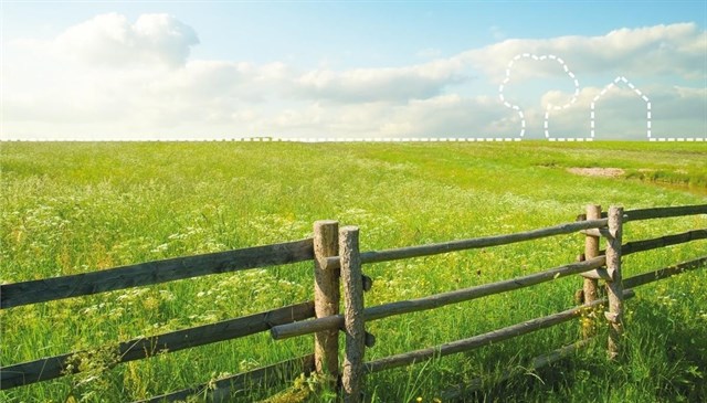 Fundación Biodiversidad se ‘moviliza’ contra el cambio climático