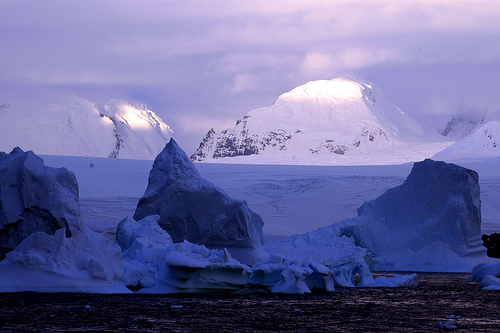 Fitoplancton un aliado natural contra el cambio climático en la Antártida