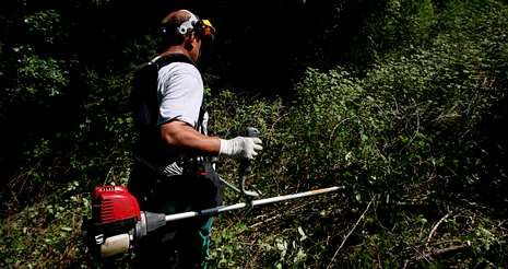 Comienzan los trabajos del Plan de Choque por el Empleo en montes de cinco municipios de Córdoba