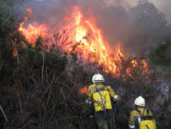 Navarra en alerta por riesgo alto o extremo de incendio forestal