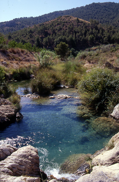 La Asociación Juvenil JOVAL rehabilitará un tramo de la subcuenca del Río Mula a su paso por Alguazas