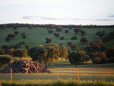 El MARM valora el papel de la Red Rural Nacional como un órgano abierto e integrador que impulsa el proceso de vertebración del medio rural