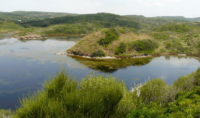 Baleares. 11.000 aves y 52 especies diferentes registrados en el Parque Natural de sAlbufera