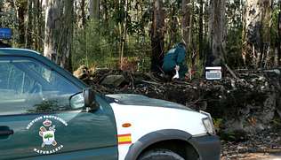 Andalucía esclarece el 85% de los incendios forestales de este verano