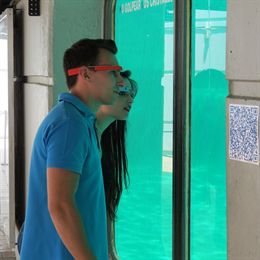 Zoo Aquarium de Madrid lanza su propia aplicación Google Glass
