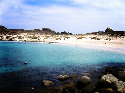 Acuerdan en Coquimbo impulsar Área Marina Costera Protegida en La Higuera e Isla Chañaral