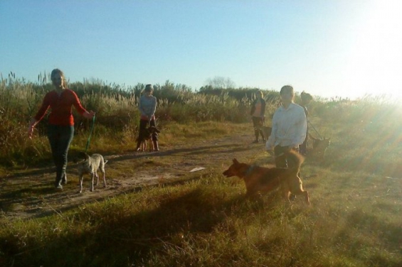 Argentina: Un refugio de 200 perros en Tres de Febrero está a punto de ser desalojado