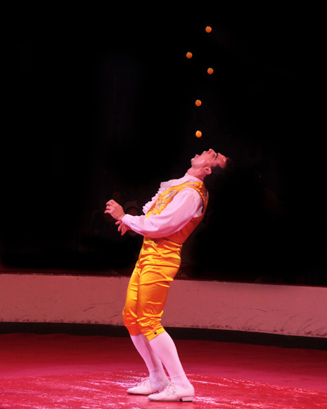 Ecologistas en Acción pide no ir a circos con animales durante la Navidad