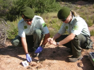 Cómo actuar en un caso de veneno
