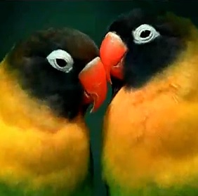 Gestión de la Biodiversidad