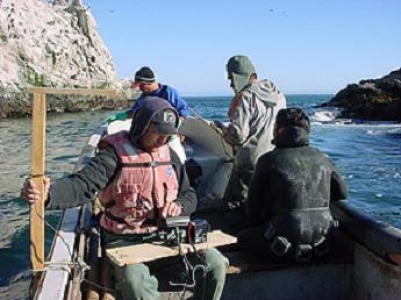 Proyecto permitirá habilitar colección de enorme biodiversidad marina