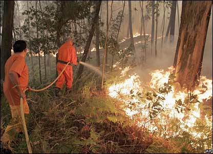 Casi 55.000 hectáreas que han ardido en España hasta junio