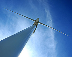 Las energías renovables deben desarrollarse pero "no a costa de causar otros impactos"