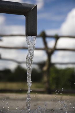 Día Mundial del Agua